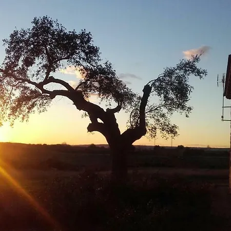 Casa Rural El Nido Del Cuco